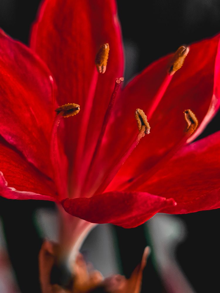 Photograph by Елена Ямнюк