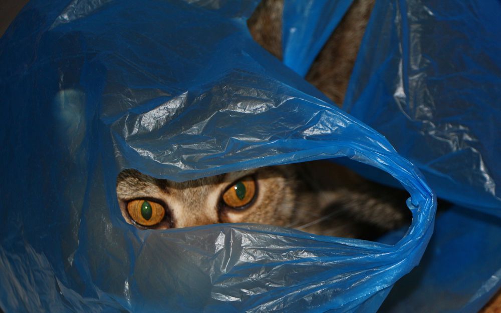 Photograph by Анжелика Сороколетова