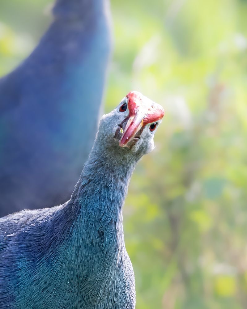 Photograph by Ashik S