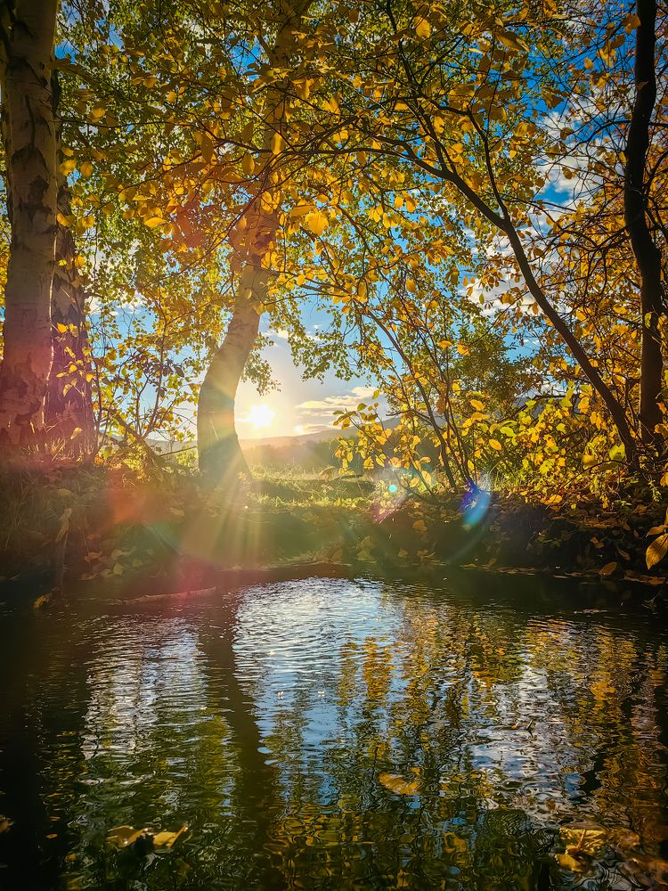 Фотография автора Евгений Баскаков
