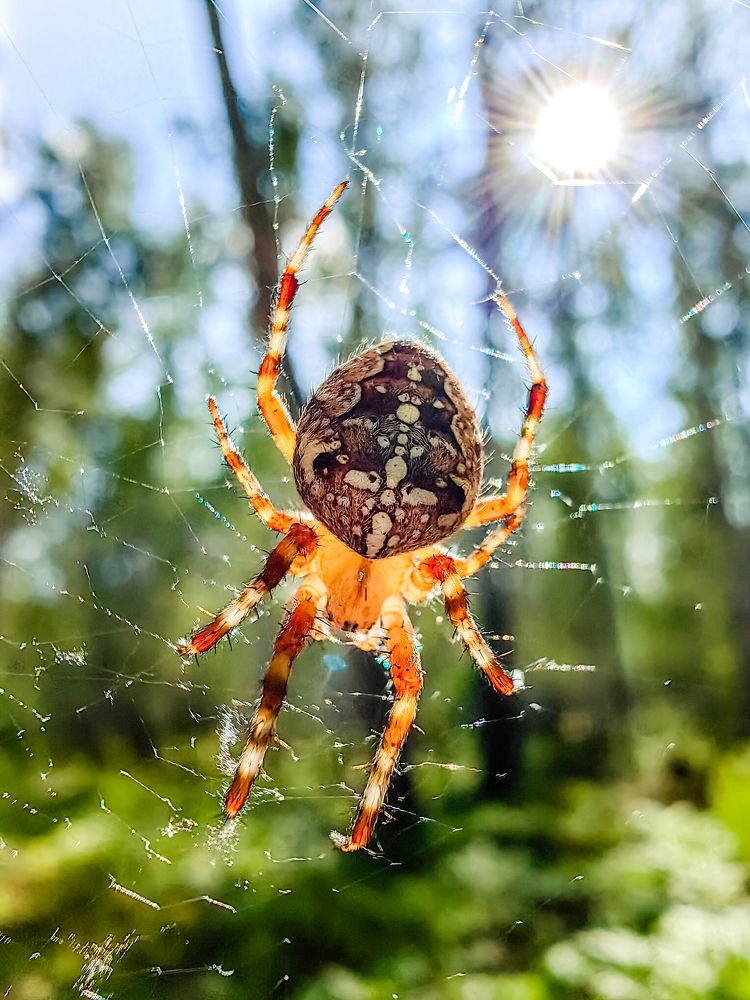 Фотография автора Евгений Баскаков
