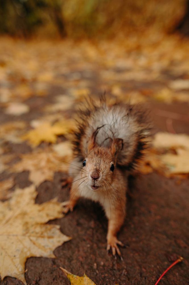 Photograph by Илья Максимов