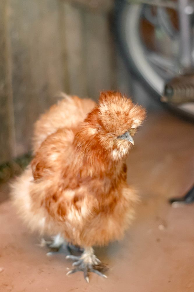 Photograph by Михаил Костыря