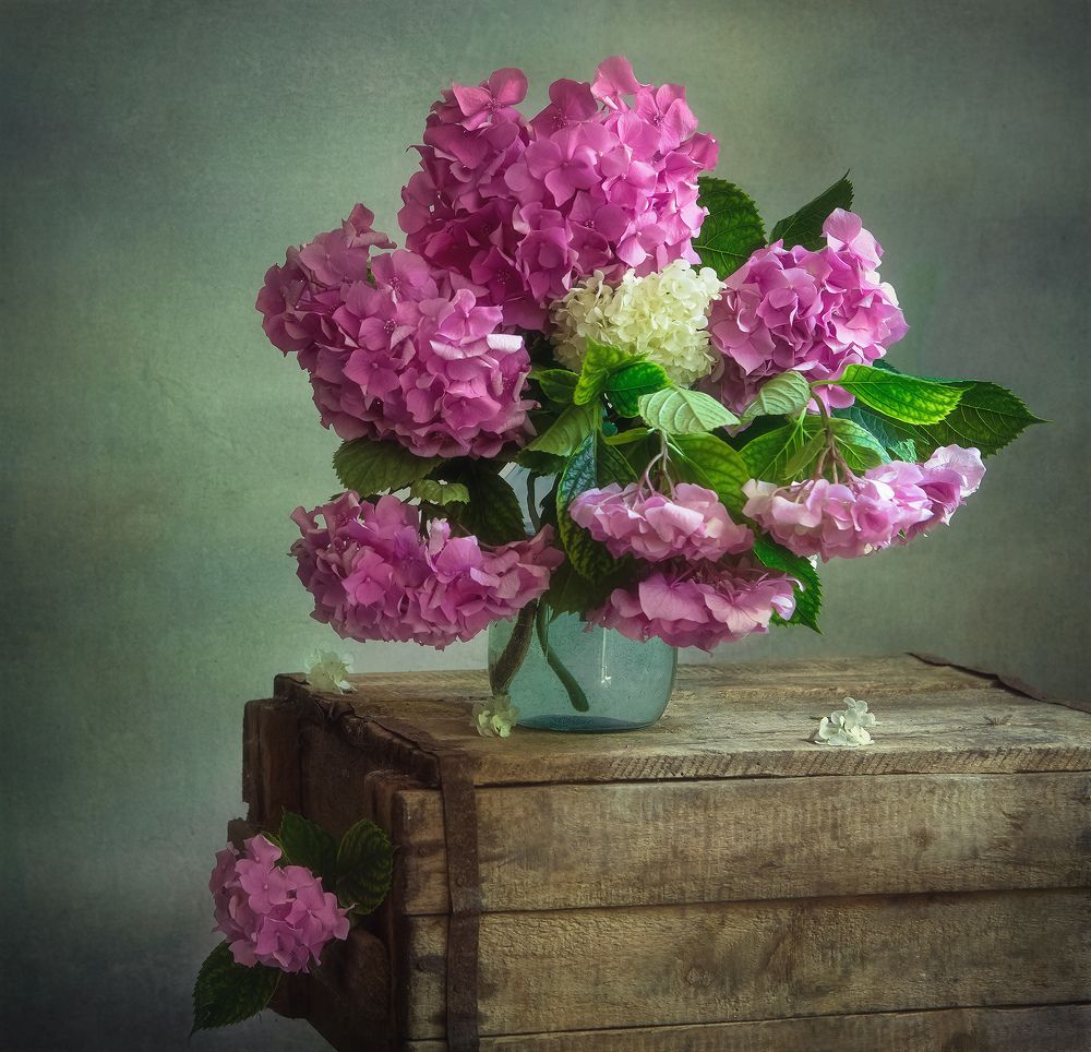 Photograph by Инна Сухова