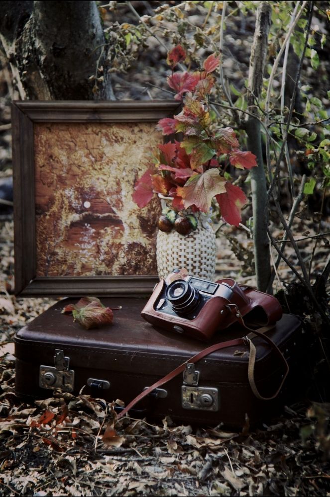 Photograph by Ирина Тихая