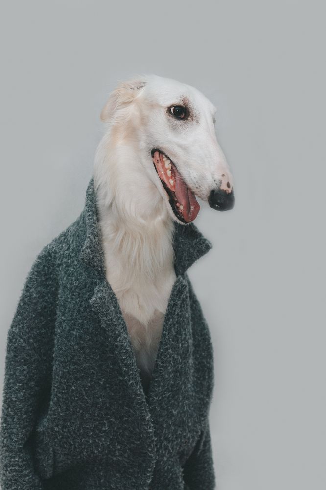 Photograph by Ольга Кушнарева