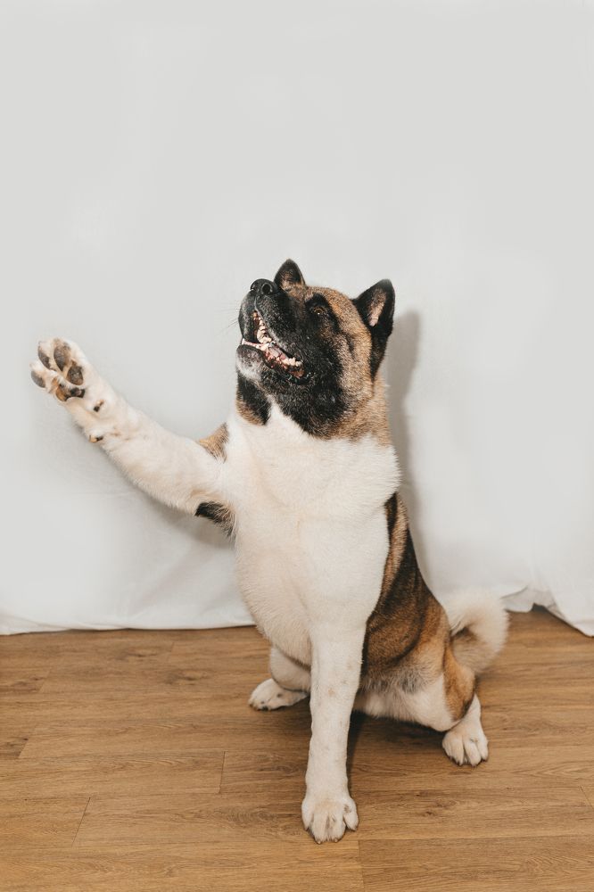 Photograph by Ольга Кушнарева