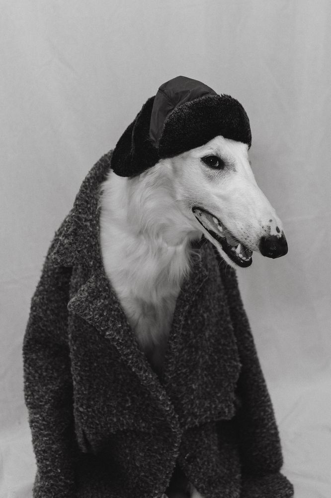 Photograph by Ольга Кушнарева