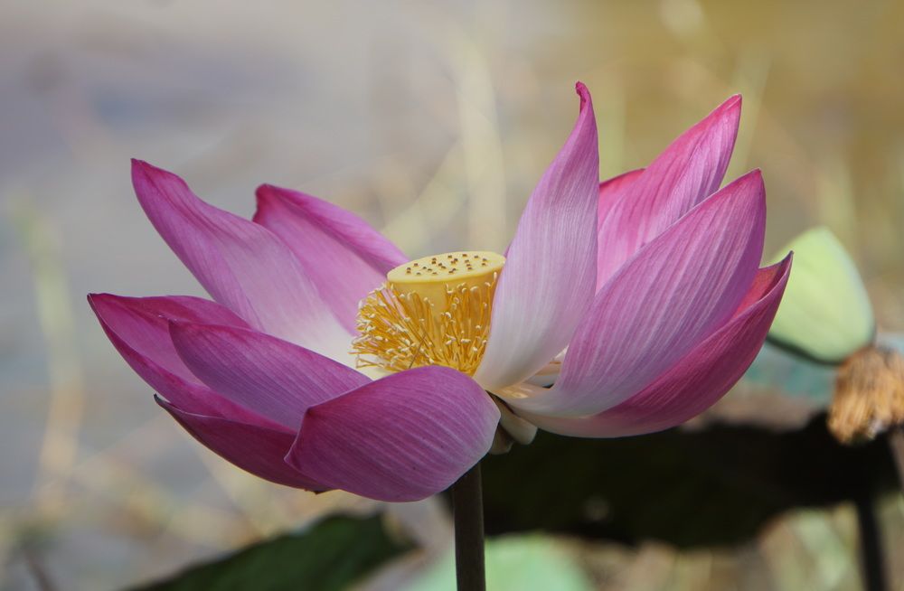 Photograph by сергей мишаков