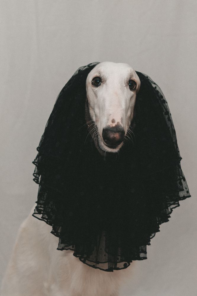 Photograph by Ольга Кушнарева