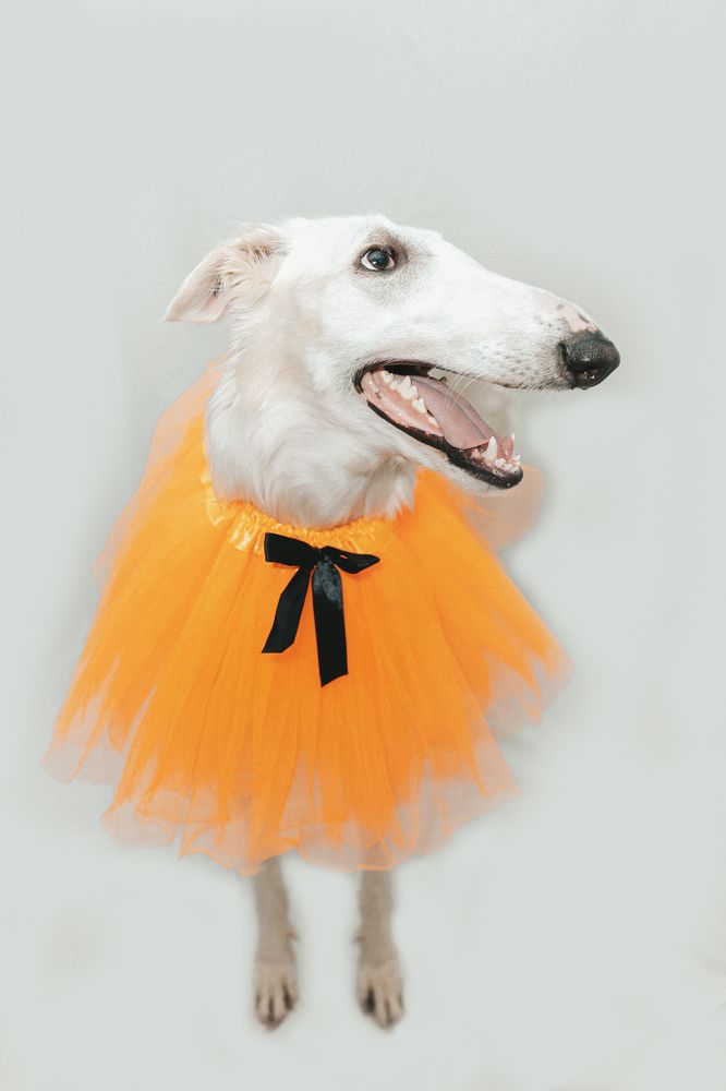 Photograph by Ольга Кушнарева