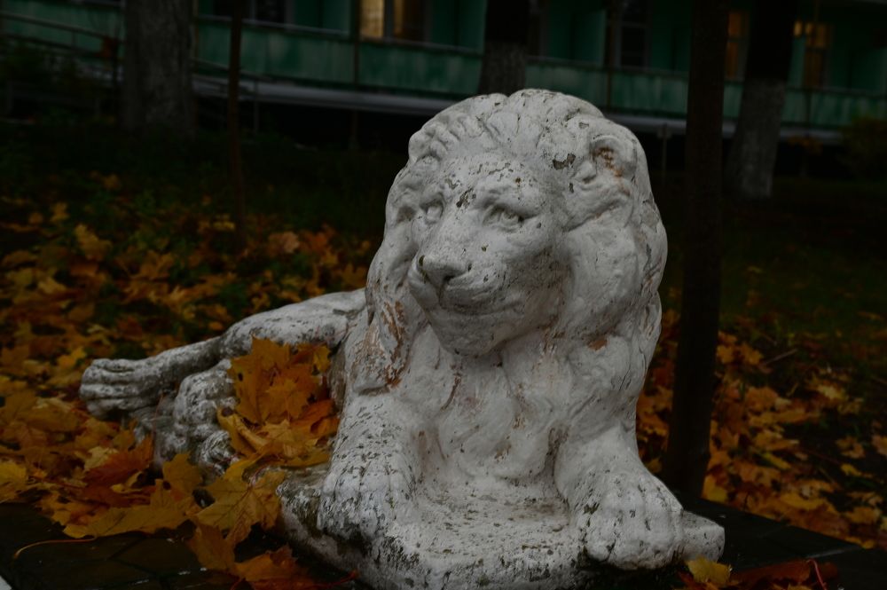 Photograph by Константин