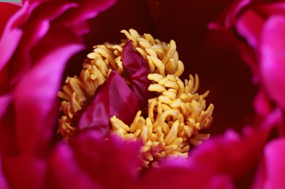 Photograph by Юлия Трап