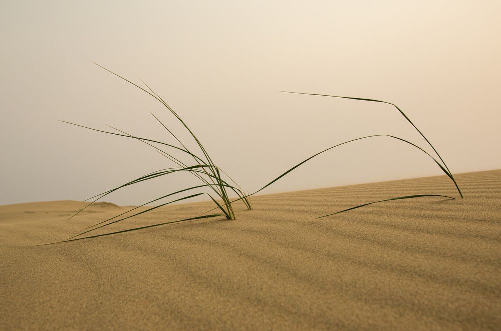 Photograph by Сергей Бирюков