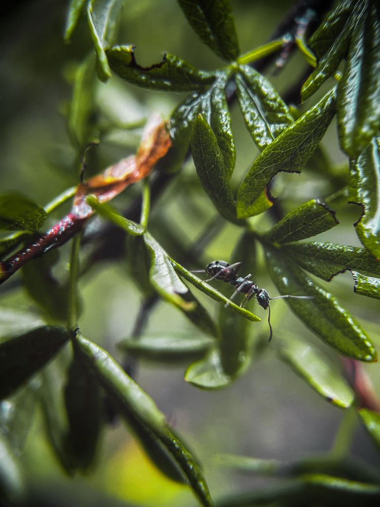 Photograph by Виктория Селютина