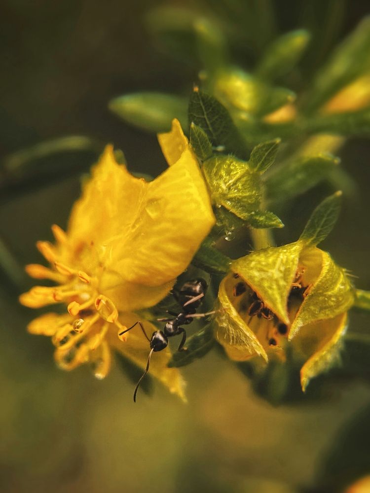 Photograph by Виктория Селютина