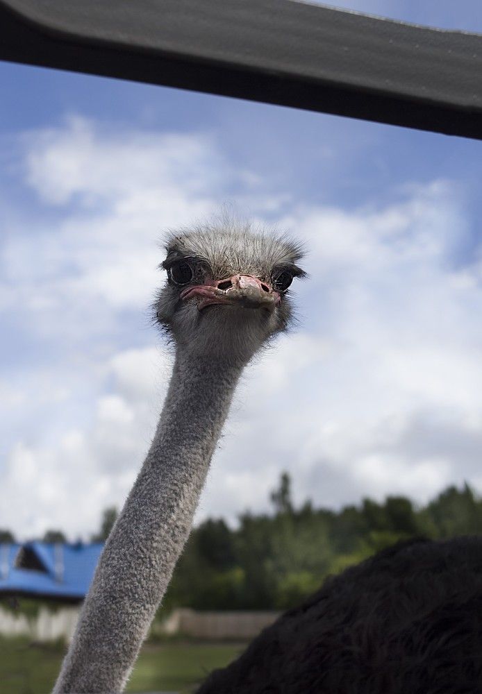 Photograph by Татьяна Шахматова