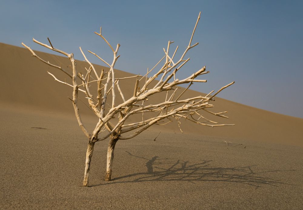 Photograph by Сергей Бирюков