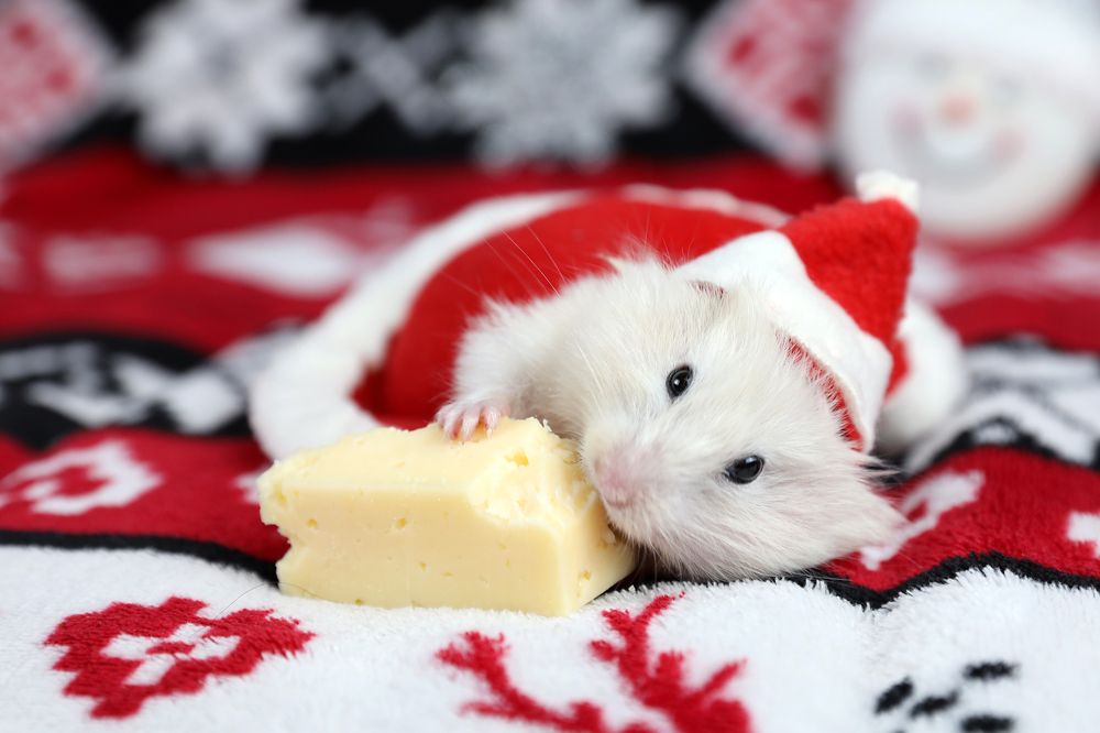 Photograph by Галина Фурсова