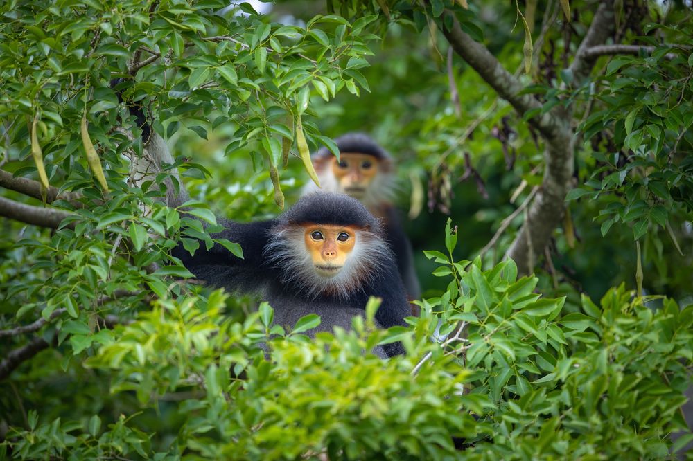 Photograph by Rin Võ