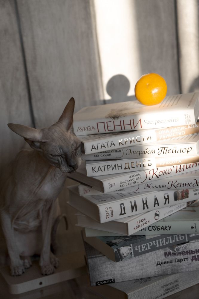 Photograph by Оксана Некрасова