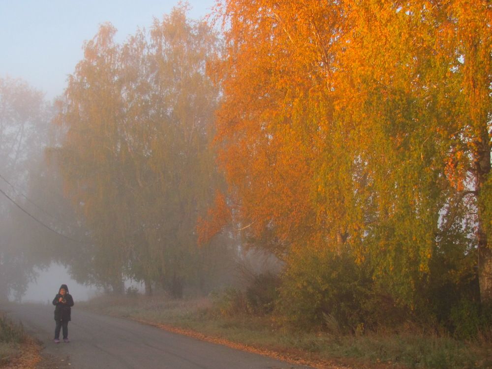 Photograph by Петр Нефедьев