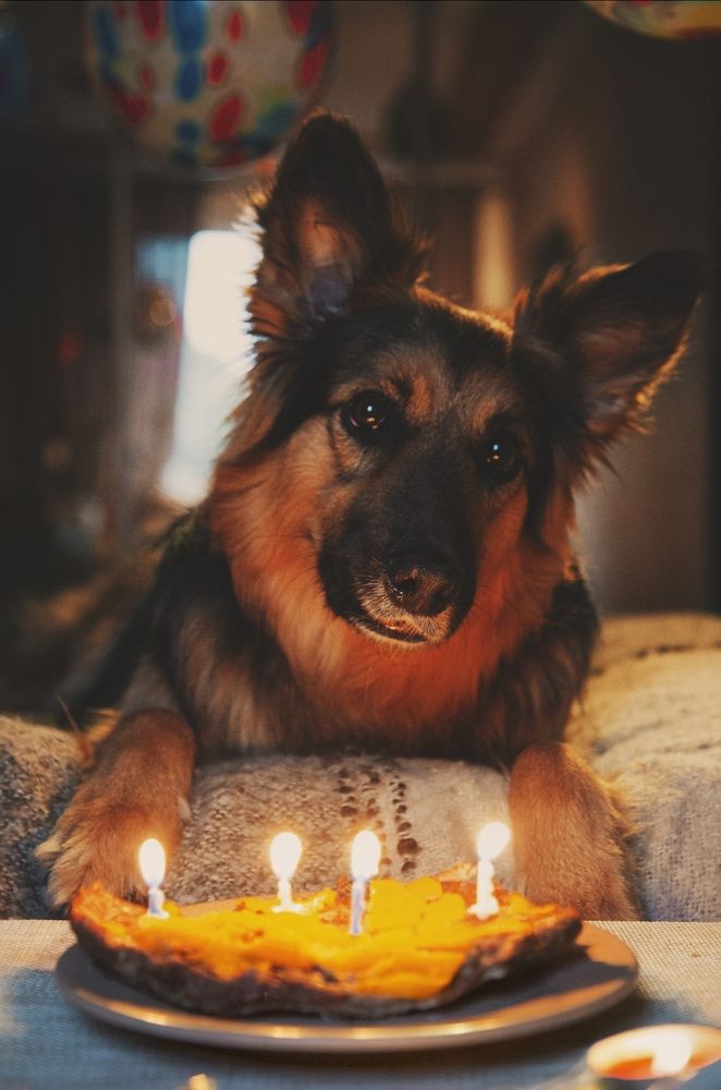 Photograph by Юлия Михайлова