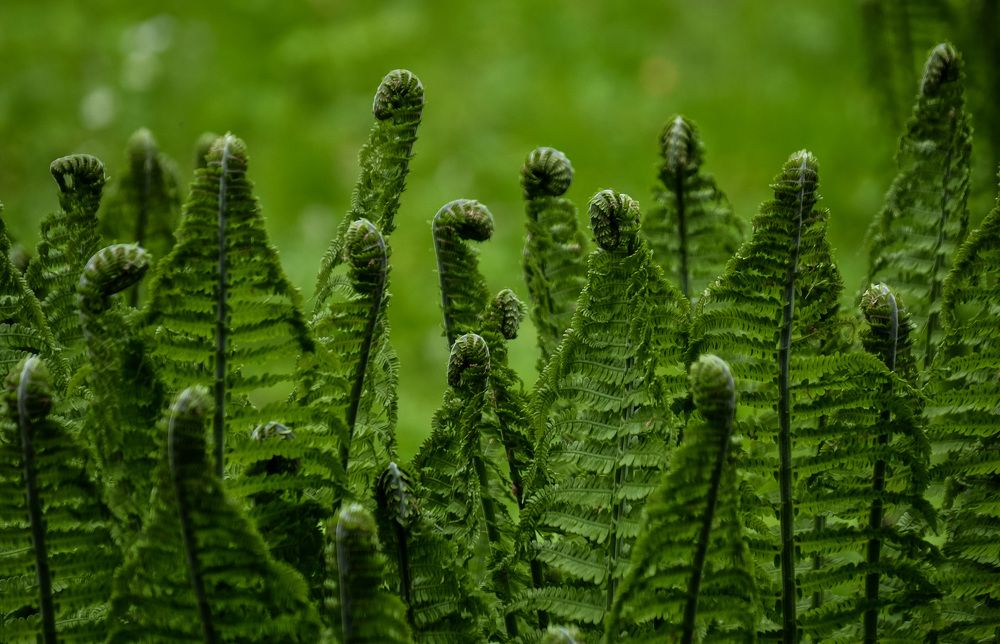 Photograph by Валерий Верещако