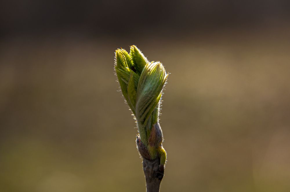 Photograph by Никита