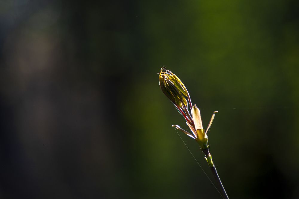 Photograph by Никита