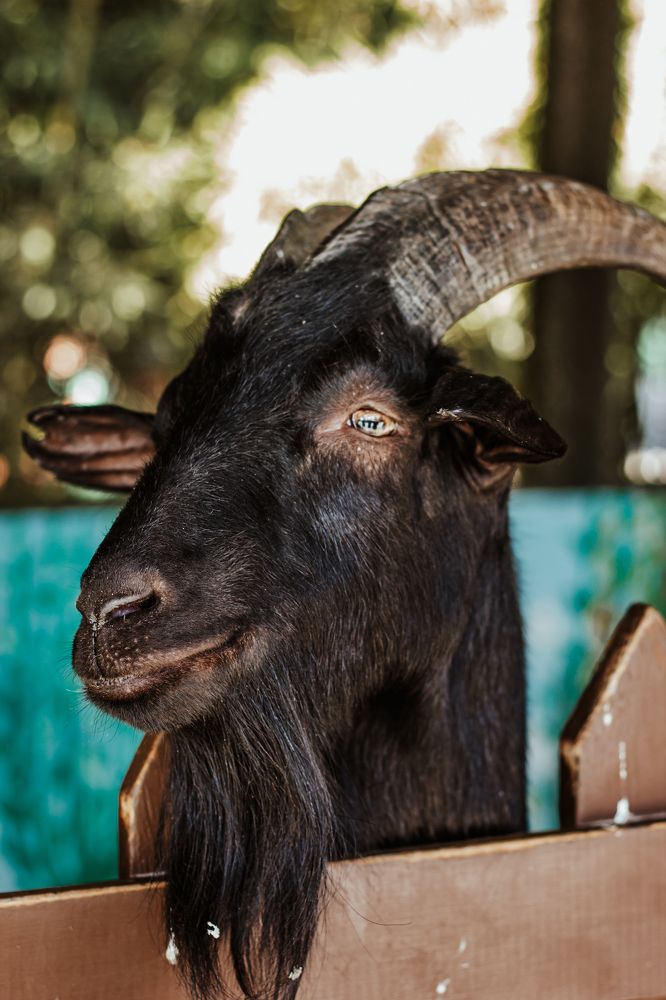 Photograph by Ольга Владимировна