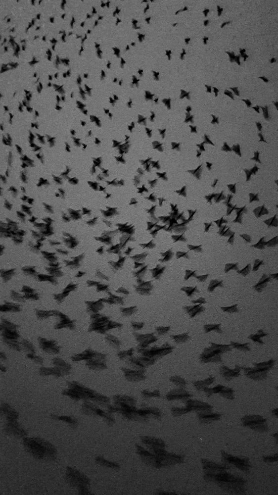 Photograph by Максим Фомин