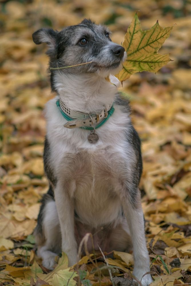 Photograph by Игорь Хижняк