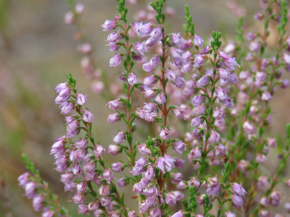 Photograph by Валерия