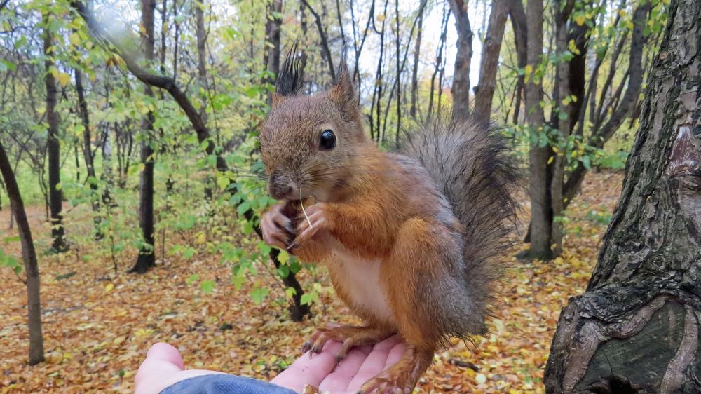 Photograph by Alexsandr Gl