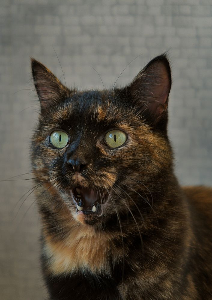 Photograph by Игорь Хижняк