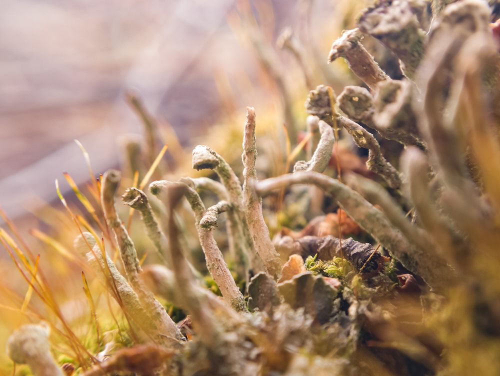 Photograph by Ильсур Абдуллин