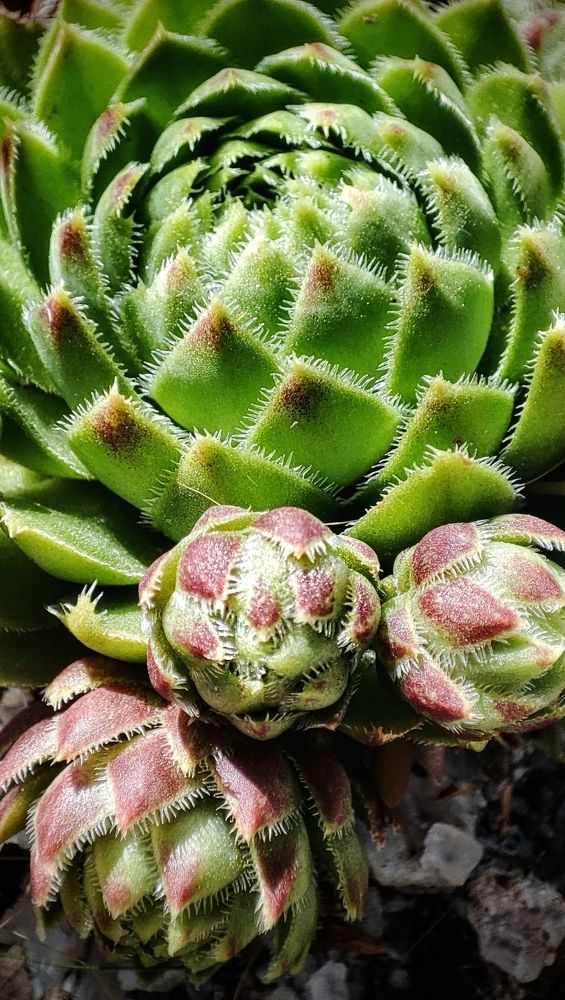 Photograph by Ольга Агаронова