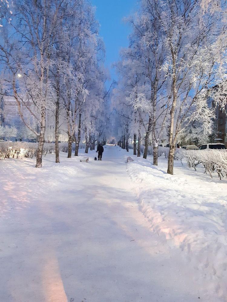 Зимний вечер в Архангельске
