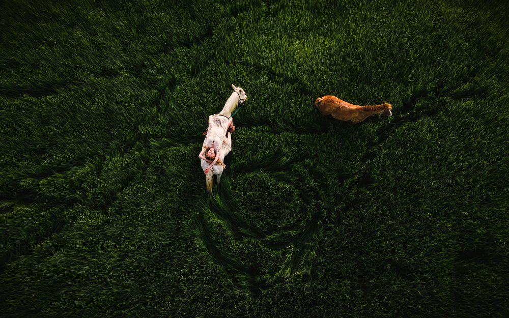 Photograph by Александр Кислов