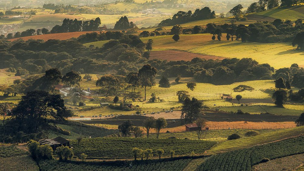 Highlands of Costa Rica