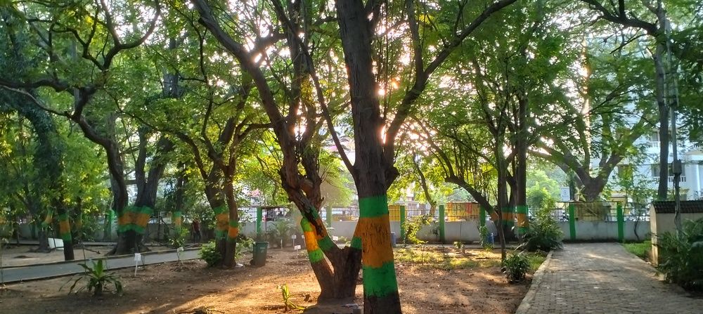 Фотография автора Kavitha Krishnamurthy