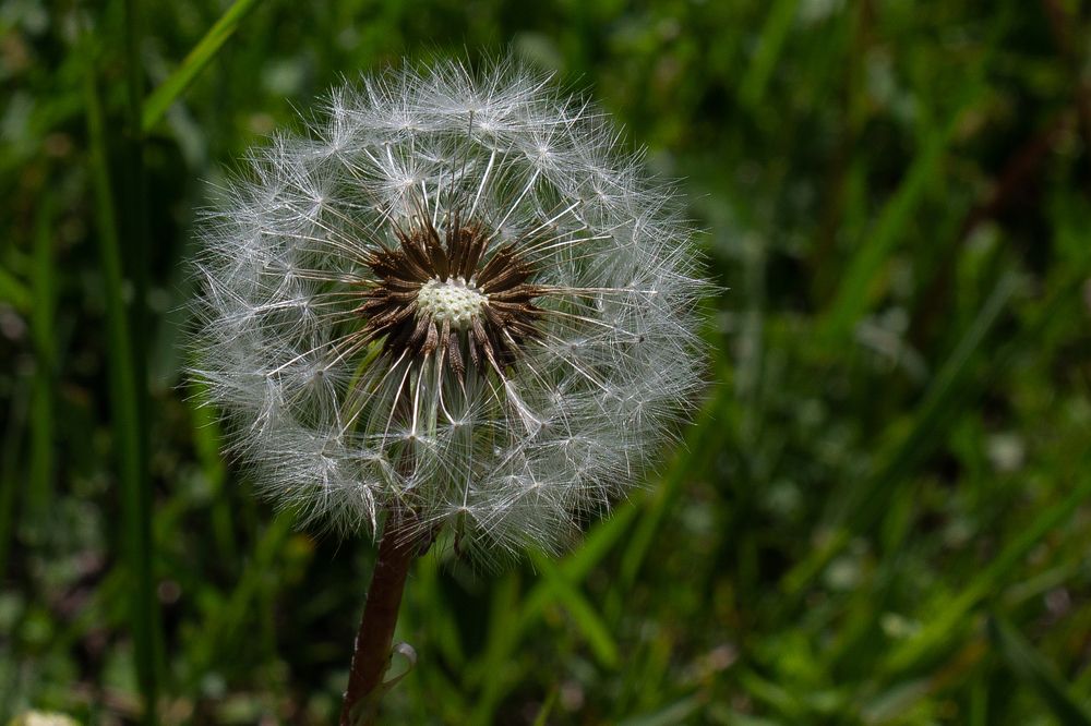 Photograph by Тигран Гукасян