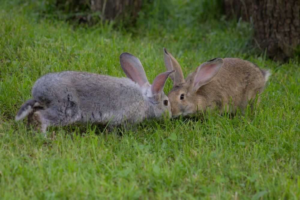 Photograph by Тигран Гукасян