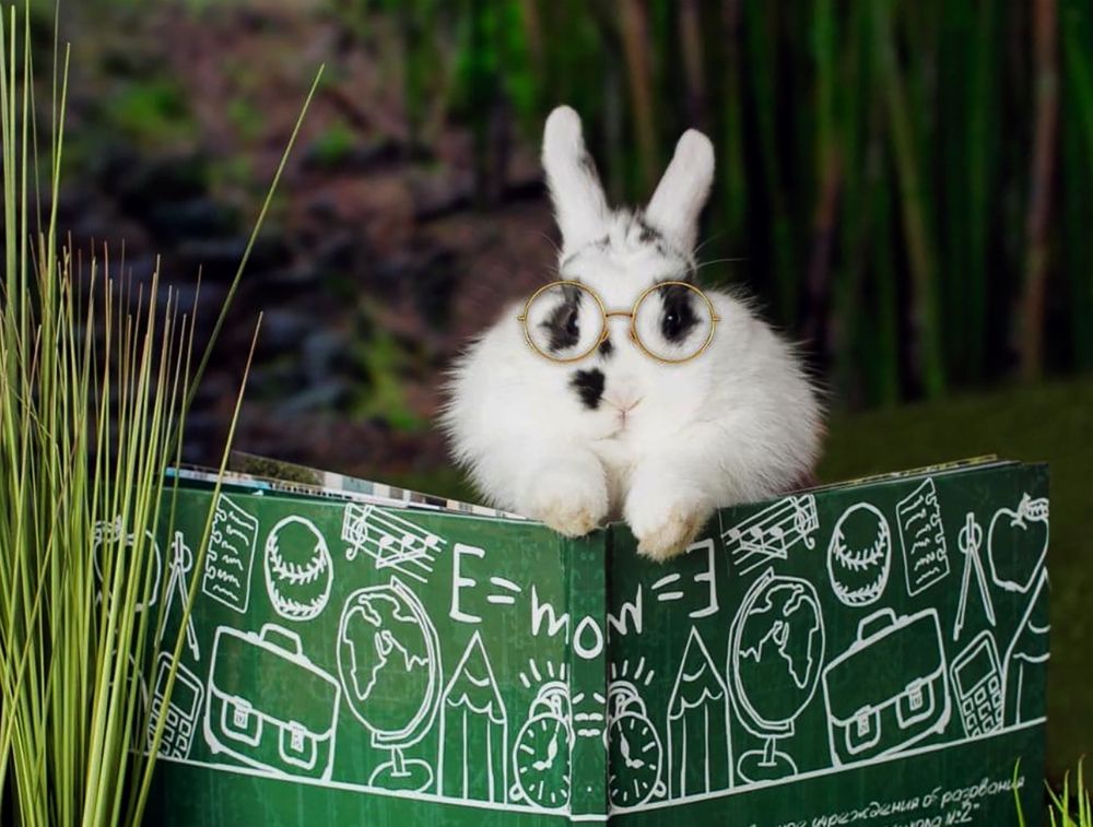 Фотография автора Максим Светличный