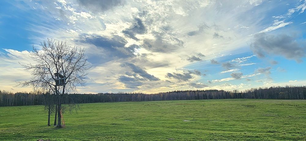 Photograph by Ксения Черных