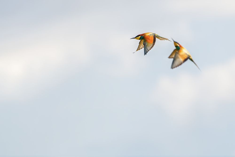 Photograph by Александр Перегудов