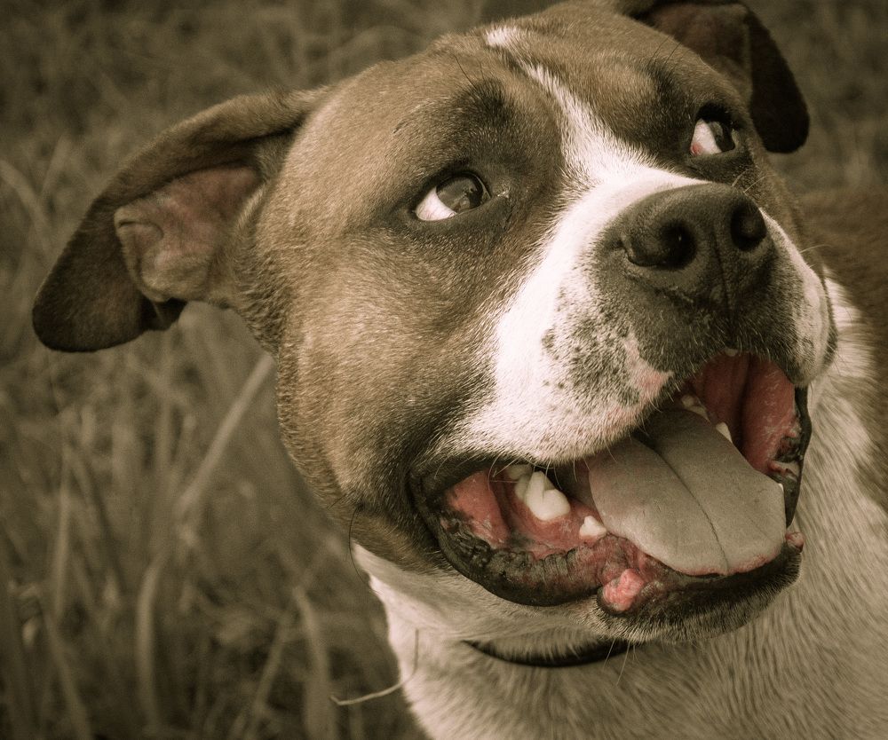 Photograph by Александр Халимов