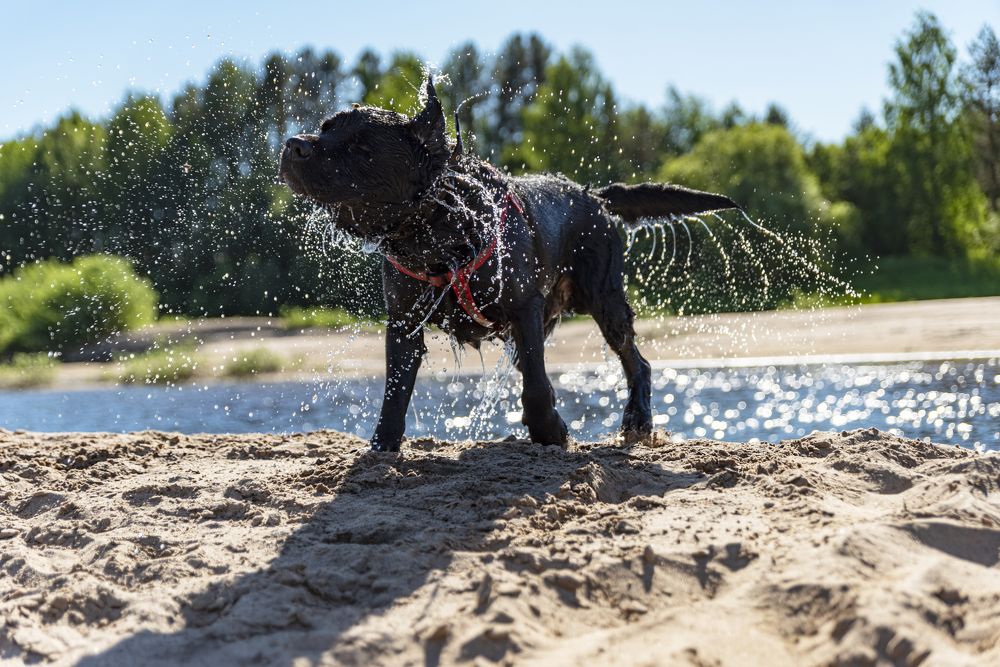Photograph by Сергей Комаров