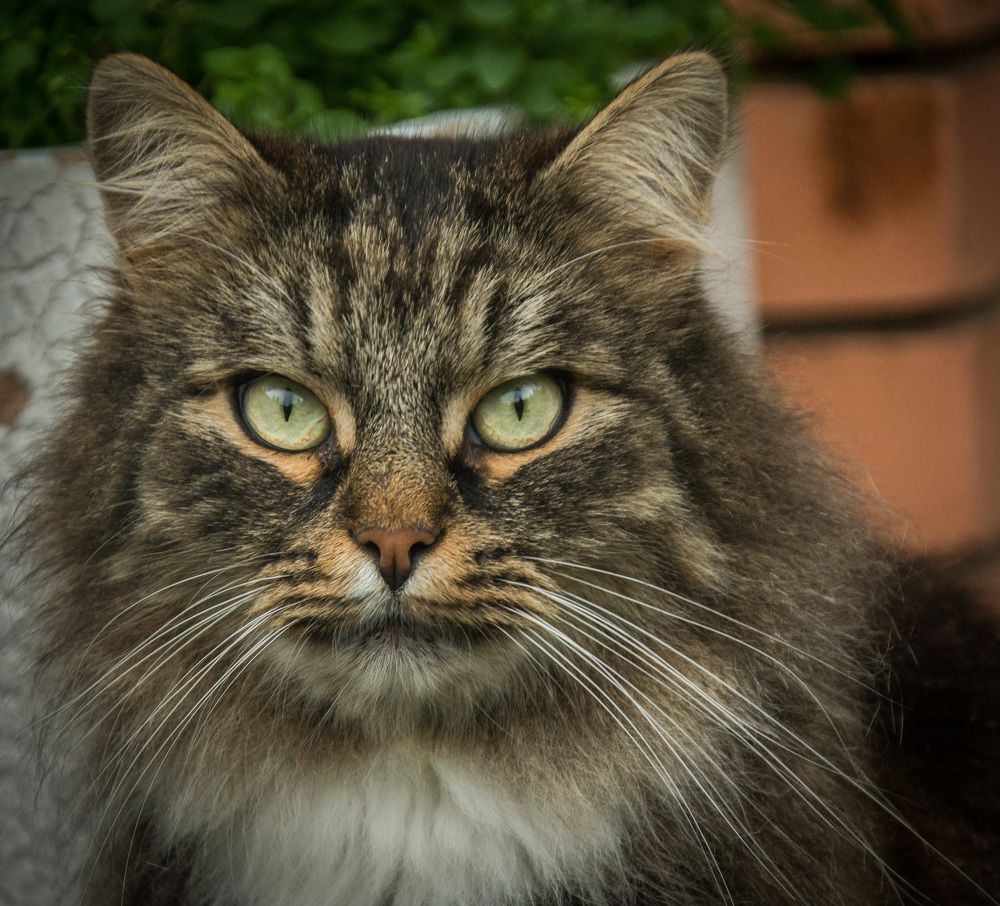 Photograph by Александр Халимов